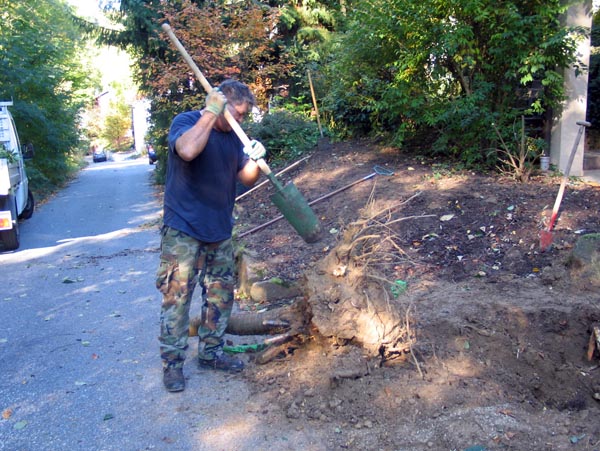 Ausf&uuml;hrung 2006